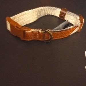 Small pet collar